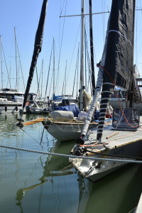 054_epitesz_regatta_2025_karsai_timea_T