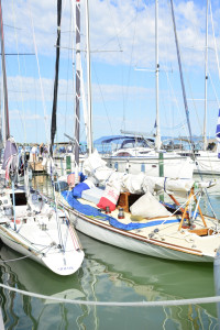 055_epitesz_regatta_2025_karsai_timea_T
