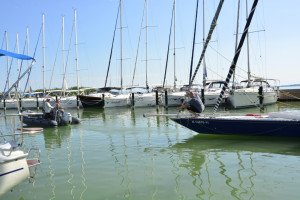 076_epitesz_regatta_2025_karsai_timea_T