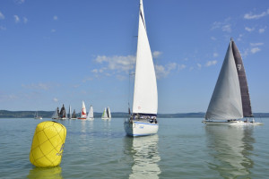 084_epitesz_regatta_2025_karsai_timea_T