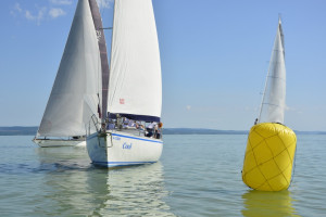 085_epitesz_regatta_2025_karsai_timea_T